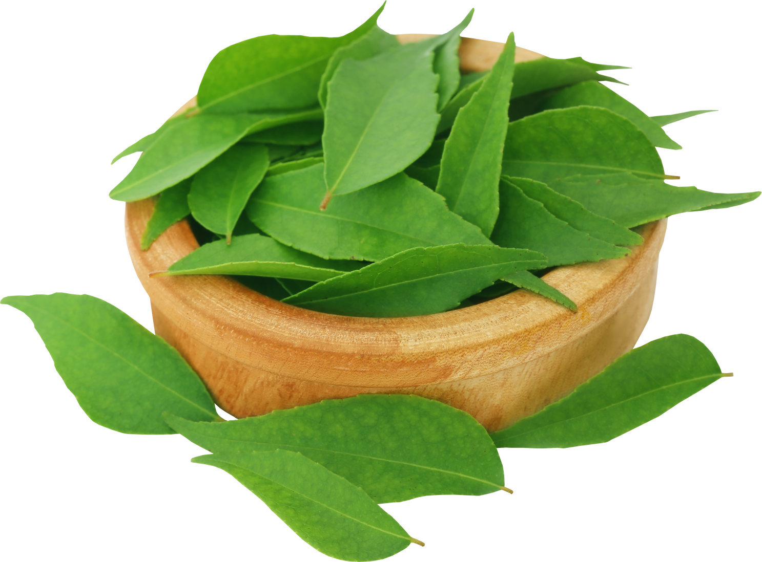 Curry Leaves